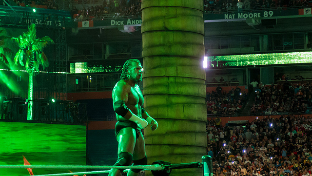 Triple H at Wrestlemania XXVIII